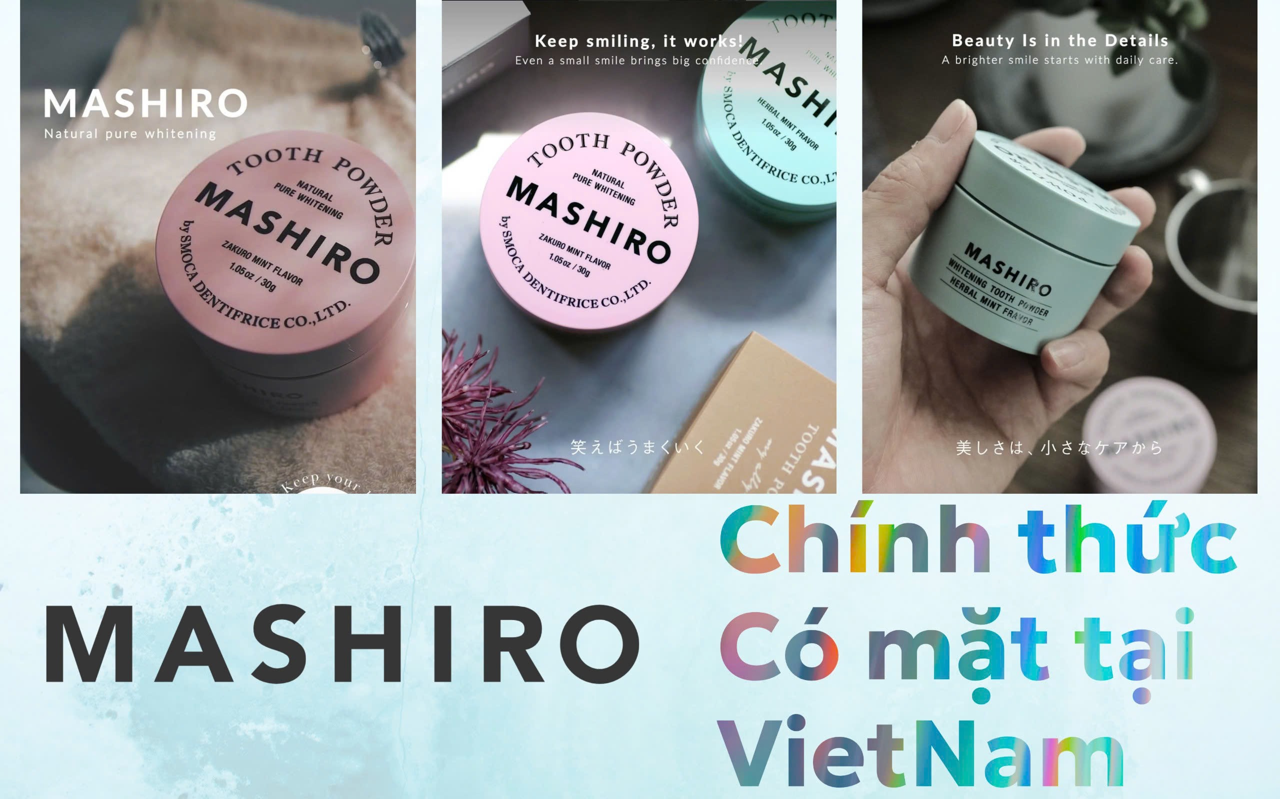 Mashiro chính thức có mặt tại Việt Nam